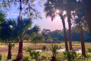129 Avenue of Oaks, Daufuskie Island, SC 29915 - Photo 18