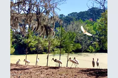 129 Ave Of Oaks, Daufuskie Island, SC 29915 - Photo 24