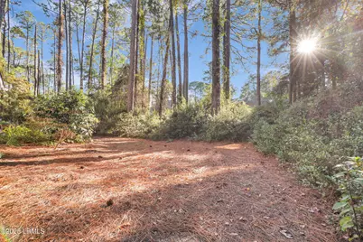 13 Oyster Rake Lane, Hilton Head Island, SC 29926 - Photo 34