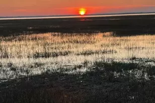 5957 Pleasant Farm Dr, Beaufort, SC 29906 - Photo 48