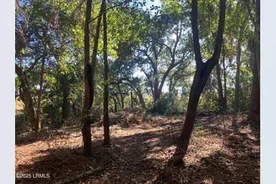 481 Paige Point Bluff, Seabrook, SC 29940 - Photo 6