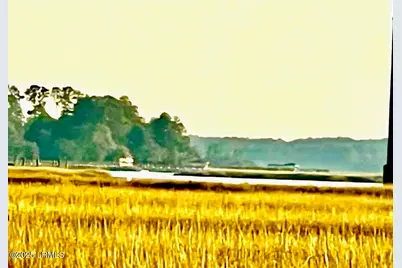 481 Paige Point Bluff, Seabrook, SC 29940 - Photo 8