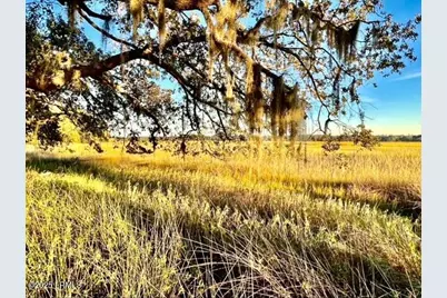 481 Paige Point Bluff, Seabrook, SC 29940 - Photo 1