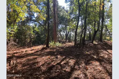 481 Paige Point Bluff, Seabrook, SC 29940 - Photo 4