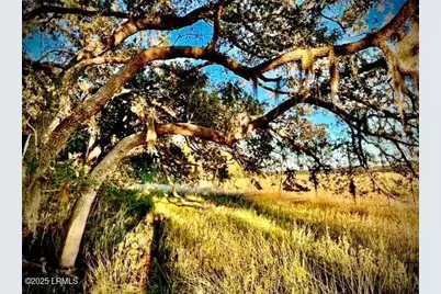 481 Paige Point Bluff, Seabrook, SC 29940 - Photo 2