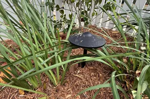 23 Mum Grace, Beaufort, SC 29906 - Photo 94