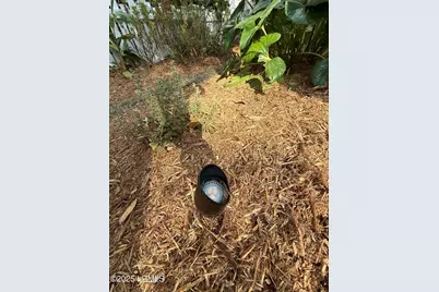 23 Mum Grace, Beaufort, SC 29906 - Photo 92