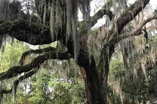 23 Mum Grace, Beaufort, SC 29906 - Photo 72