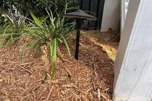 23 Mum Grace, Beaufort, SC 29906 - Photo 92