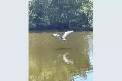 19 Brisbane Drive, Beaufort, SC 29902 - Photo 52