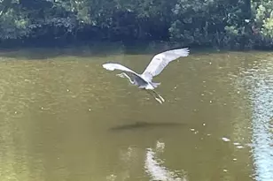 19 Brisbane Dr, Beaufort, SC 29902 - Photo 52