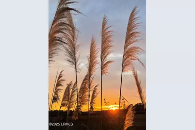 19 Brisbane Drive, Beaufort, SC 29902 - Photo 50