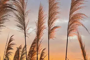 19 Brisbane Dr, Beaufort, SC 29902 - Photo 50