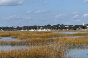 6 Harborview Cir, Beaufort, SC 29907 - Photo 62