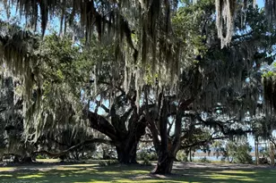6 Harborview Cir, Beaufort, SC 29907 - Photo 64