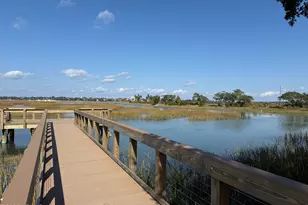 6 Harborview Cir, Beaufort, SC 29907 - Photo 60
