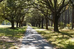 1608 Smiths Xing, Ridgeland, SC 29936 - Photo 36