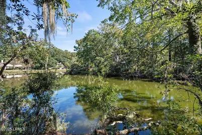 26 Heron Walk, Okatie, SC 29909 - Photo 26