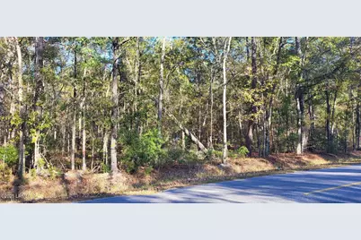 409 Wade Hampton Road, Hampton, SC 29924 - Photo 1