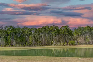 1393 Parrot Ave, Hardeeville, SC 29927 - Photo 56