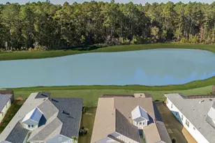 1393 Parrot Ave, Hardeeville, SC 29927 - Photo 54