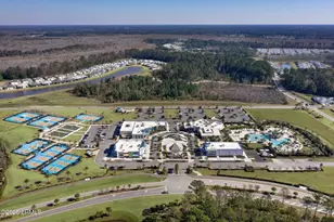 1393 Parrot Ave, Hardeeville, SC 29927 - Photo 72