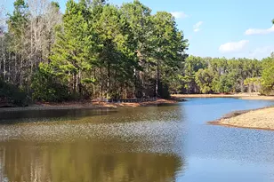 191 Chicora Ln, Yemassee, SC 29945 - Photo 68