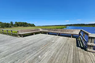 191 Chicora Ln, Yemassee, SC 29945 - Photo 74