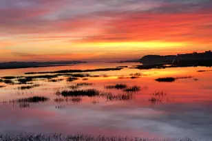 8 Battery Point Ln, Beaufort, SC 29902 - Photo 62