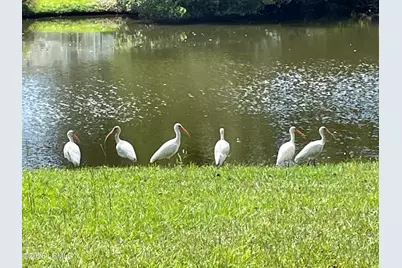 8 Battery Point Lane, Beaufort, SC 29902 - Photo 48