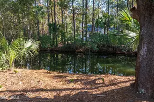 67 Osprey Cir, Okatie, SC 29909 - Photo 50