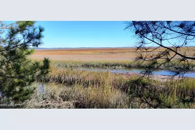 2 Black Skimmer Court, Beaufort, SC 29907 - Photo 4