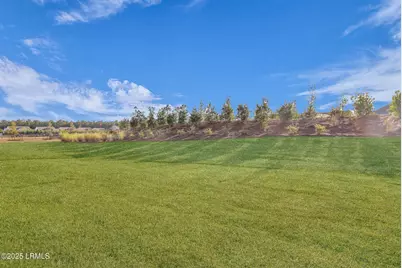 543 Wiry Green Leaf Lane, Ridgeland, SC 29936 - Photo 78