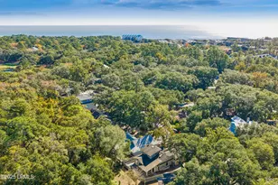 29 Oleander St, Hilton Head, SC 29928 - Photo 66