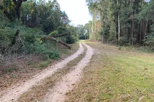 Tbd Pearl Harbor Ln, Saint Helena Island, SC 29920 - Photo 1