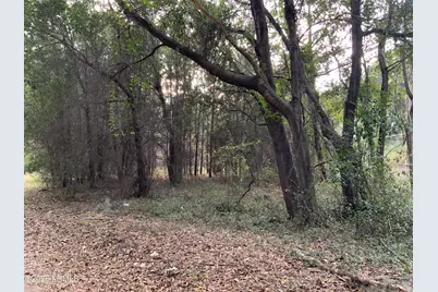 Tbd Pearl Harbor Lane, Saint Helena Island, SC 29920 - Photo 4