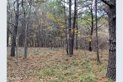 Tbd Pearl Harbor Lane, Saint Helena Island, SC 29920 - Photo 10