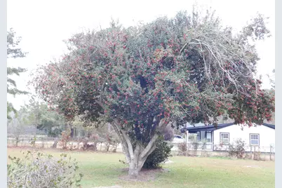 718 Old House Road, Ridgeland, SC 29936 - Photo 22