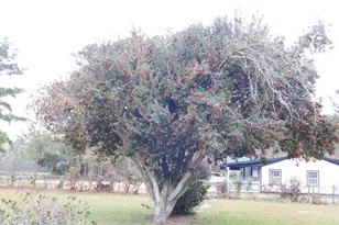 718 Old House Rd, Ridgeland, SC 29936 - Photo 22