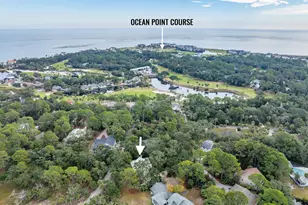 434 Widgeon Cove, Fripp Island, SC 29920 - Photo 60