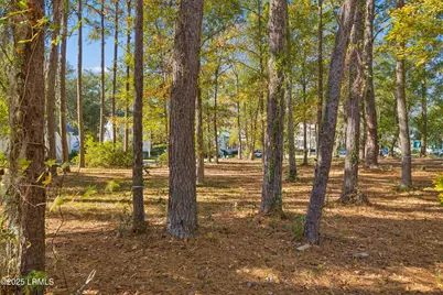 7 N Loudon, Beaufort, SC 29906 - Photo 8