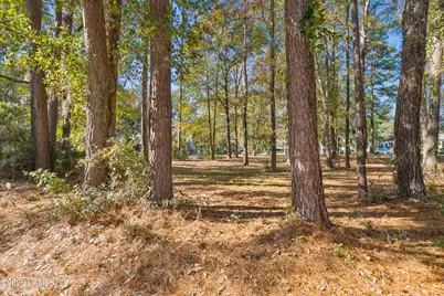 7 N Loudon, Beaufort, SC 29906 - Photo 6