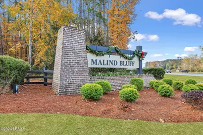 62 Dudley Avenue, Bluffton, SC 29909 - Photo 36