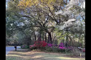 11 Egret Dr, Beaufort, SC 29907 - Photo 40