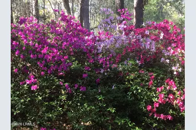 11 Egret Drive, Beaufort, SC 29907 - Photo 38