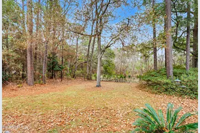 11 Egret Drive, Beaufort, SC 29907 - Photo 40