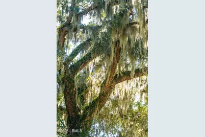 210 Old Plantation Drive W, Beaufort, SC 29907 - Photo 66