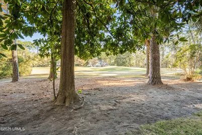 49 Winding Oak Drive, Okatie, SC 29909 - Photo 38