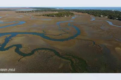 362 Speckled Trout Road, Ladys Island, SC 29920 - Photo 58