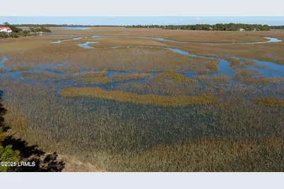 362 Speckled Trout Road, Ladys Island, SC 29920 - Photo 56